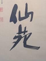 【真作】掛軸　華やぎと高雅を綴る吉祥の墨蹟　書　気品の一幅　T152