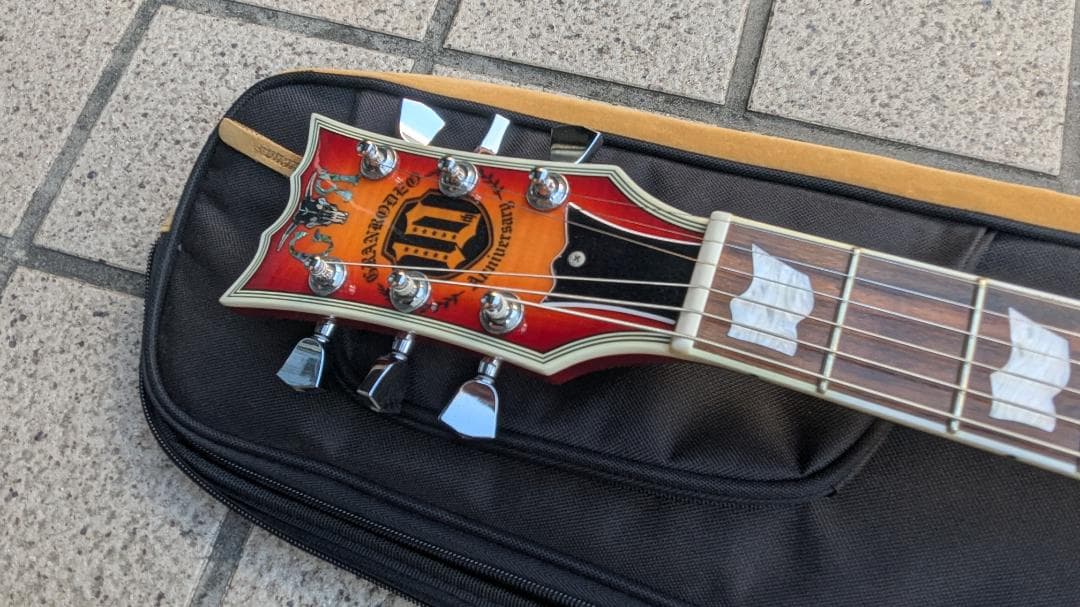 ギター EDWARDS E-RODEO DECADE CHS