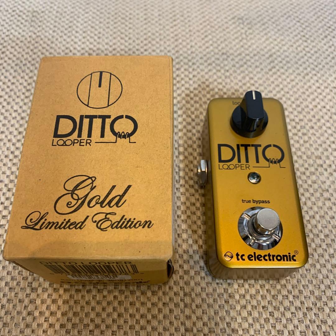 tc electronic / DITTO LOOPER 限定ゴールド