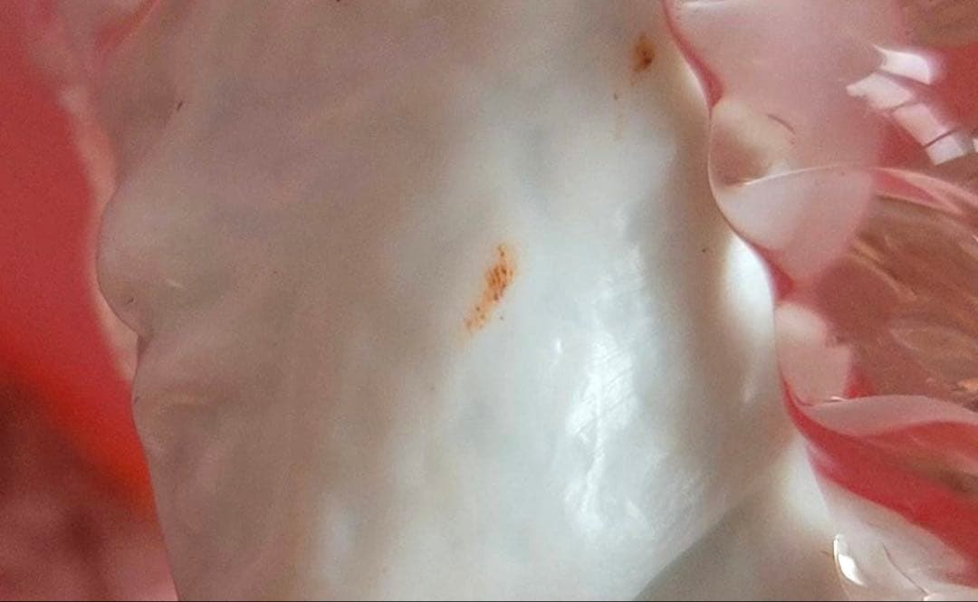 りんご ベネチアンガラス　Murano ガラス ペアフィギュア 赤