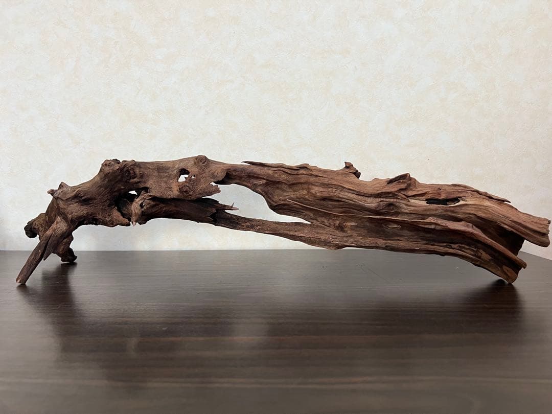 HX-026 流木　ホーンウッド　マシンガンウッド　アクアリウム　ブランチウッド