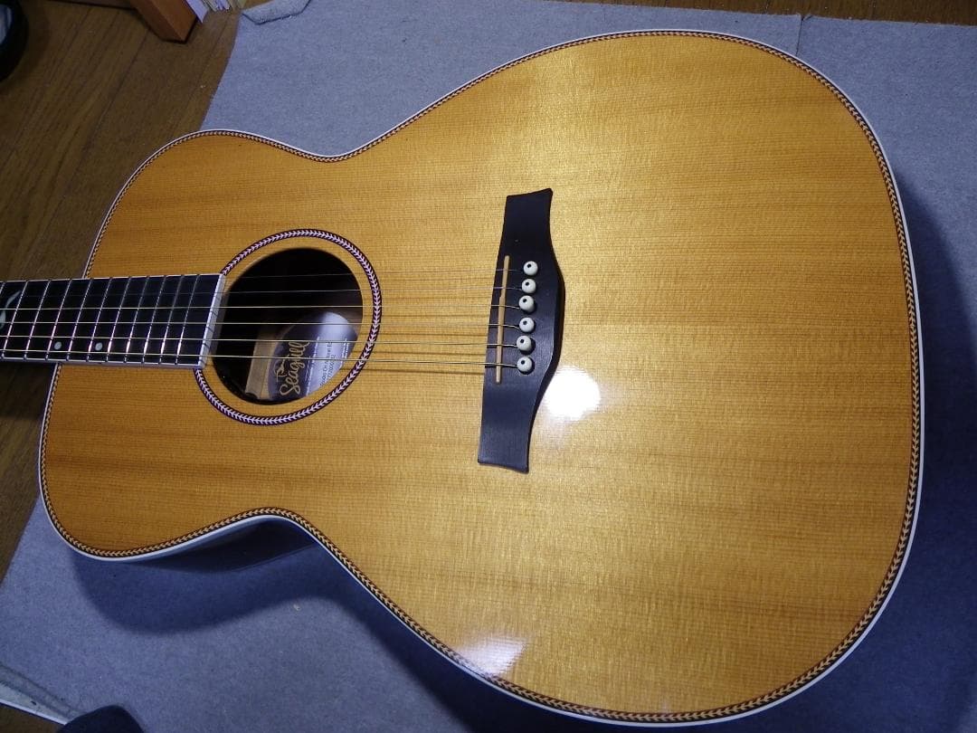 お値引き/シーガルArtist Studio EQエレアコ、LR Baggs装備