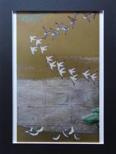 狩野山雪、雪汀水禽図屏風、超希少・大判画集画、新品高級額装付