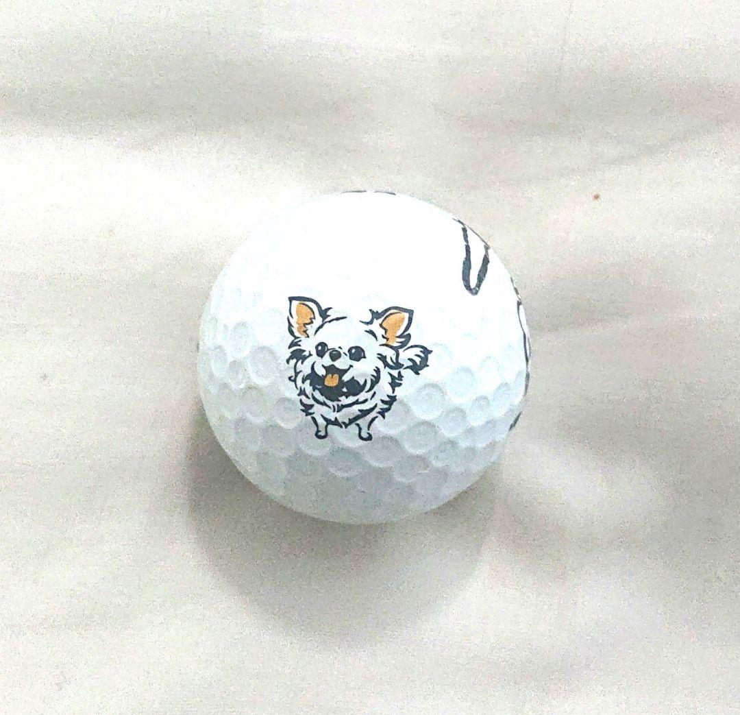 アン シネ jlpga 直筆 サイン オウン ネーム ボール 女子 ゴルフ プロ