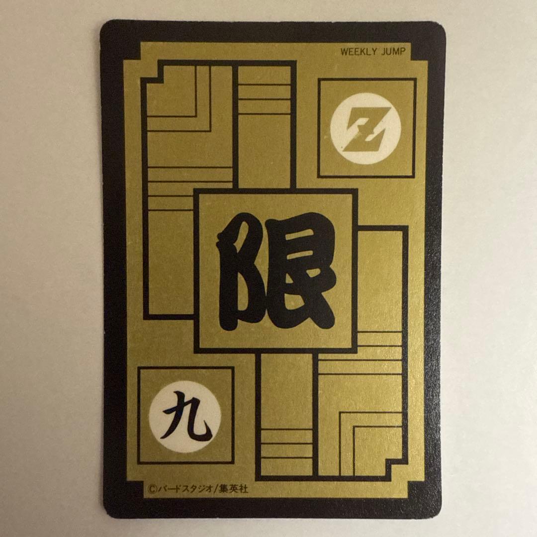 ドラゴンボールカードダス めちゃんこプロジェクト　No.9 孫悟飯