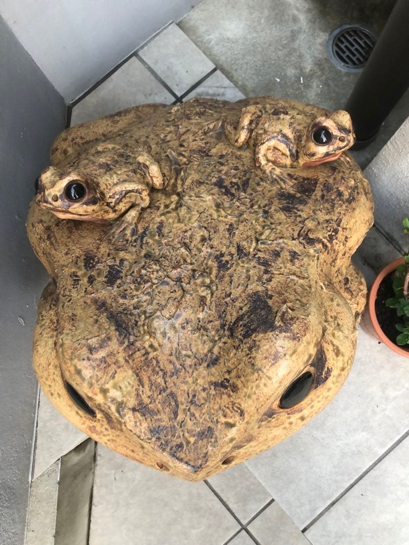 カエルの置き物　かえるの親子　　　　　大きな蛙　縁起物　オブジェ　特大