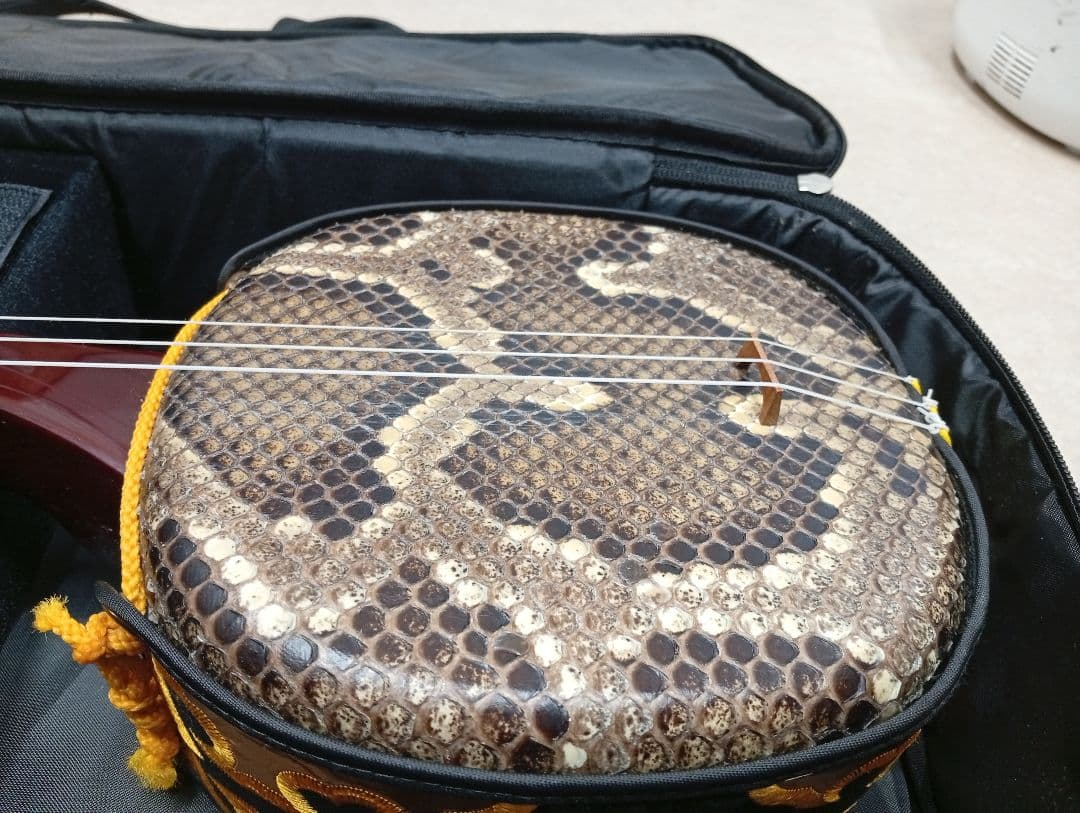 三線本体 人工革 ペグ式