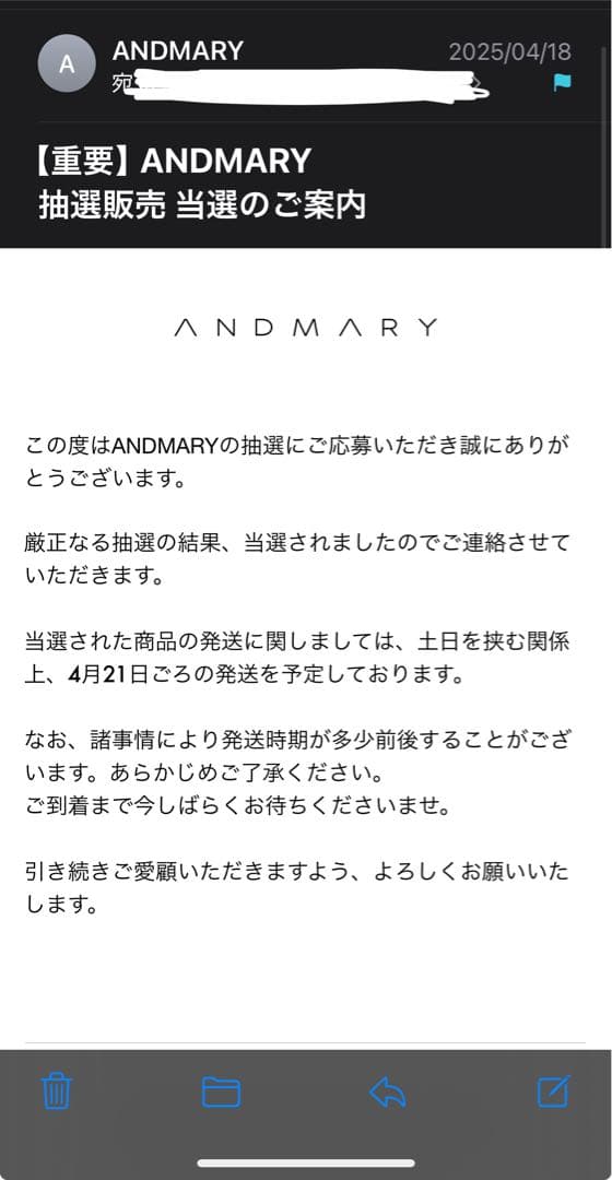 andmary Nadia check swimsuit 水着 スイムウェア