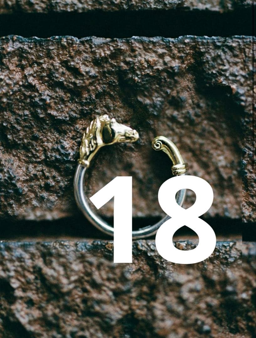 【Llife】CHEVAL RING 18号