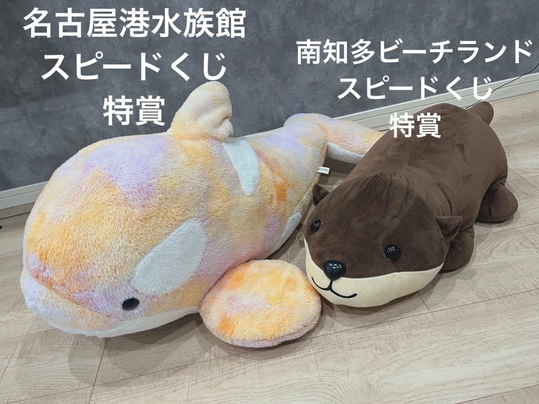 名古屋港水族館　南知多ビーチランド　スピードくじ　特賞　激レア