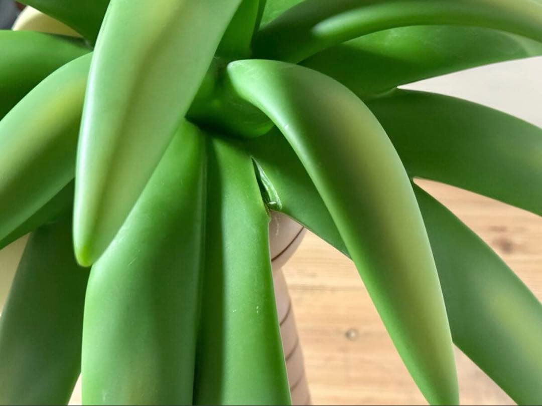 G.G.P. ナッシー アローラのすがた 1/10サイズ プレミアムバンダイ