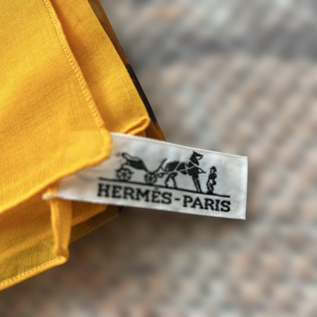 エルメスのパレオ