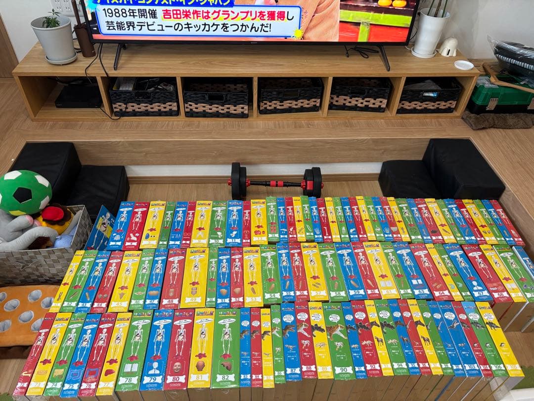 最終値下げ❗️アーサー　人体模型 セット 101個　バインダー14冊付きます