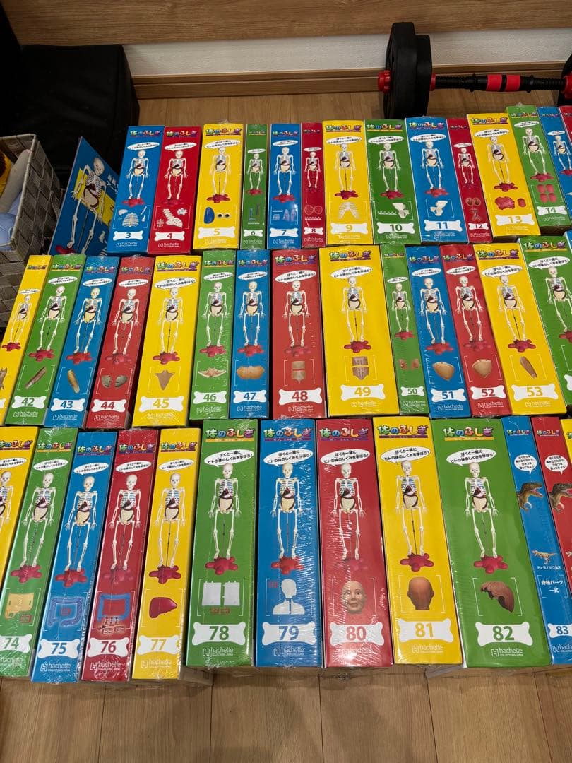 最終値下げ❗️アーサー　人体模型 セット 101個　バインダー14冊付きます