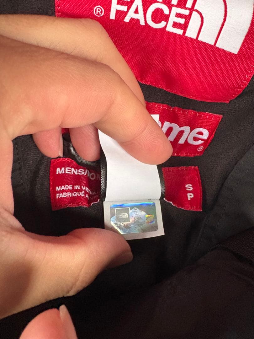 シュプリーム ノースフェイス RTG vest