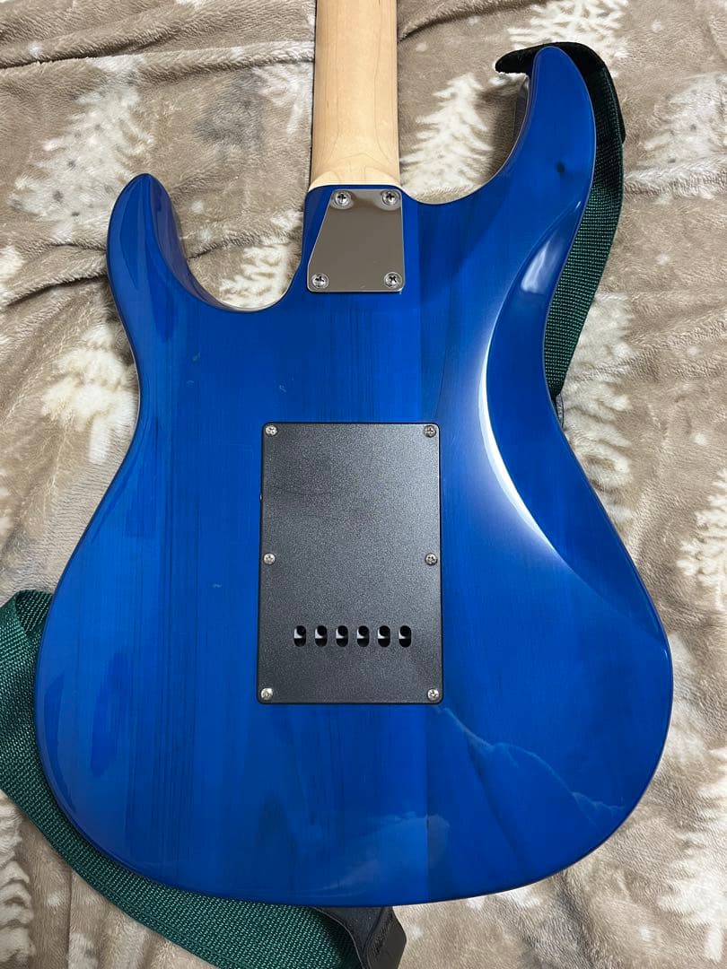 ESP Grassroots G-SNAPPER-CTM キルスイッチ改造済