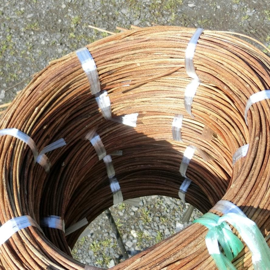 Marron　青森岩木山採取　あけび蔓　150cm～ 5kg