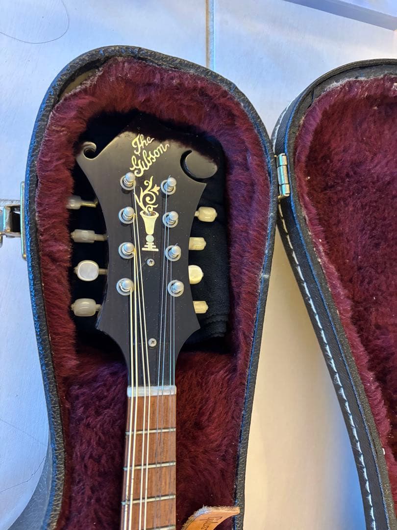 Gibson F-5g フラットマンドリン