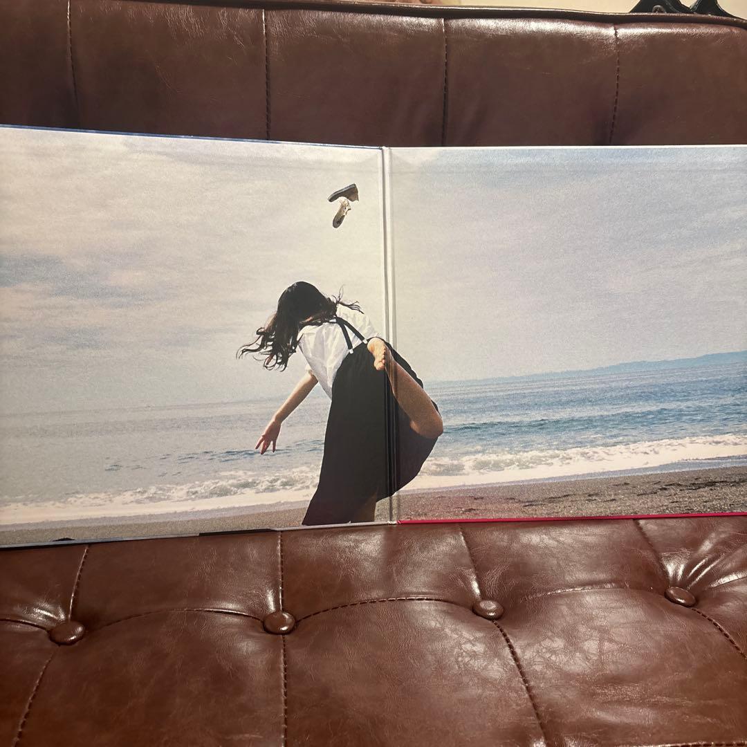 【即購入⭕️】 RADWIMPS 人間開花 レコード 完全受注生産限定品LP