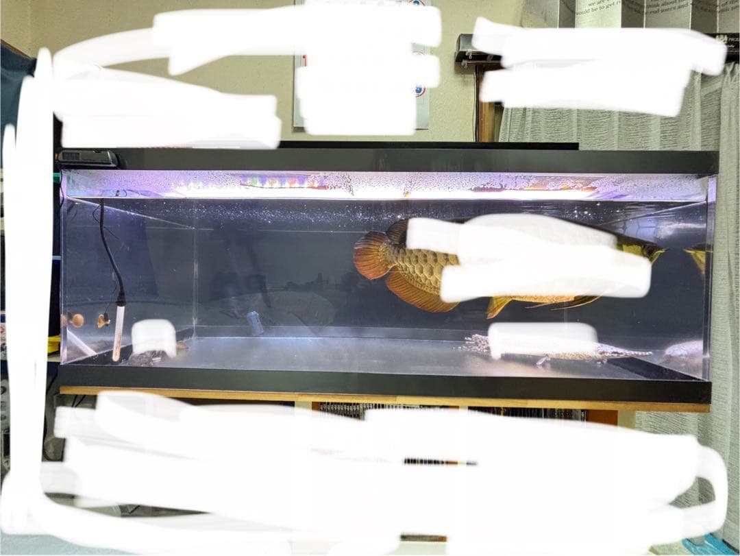 アクリル水槽120cmフルセット