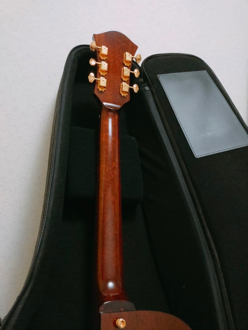 ロゼオ ギター Rozeo Ladybug フルアコースティック 美品