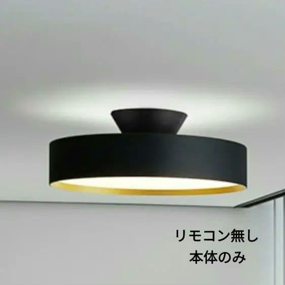 ARTWORKSTUDIO ブラック シーリングライト