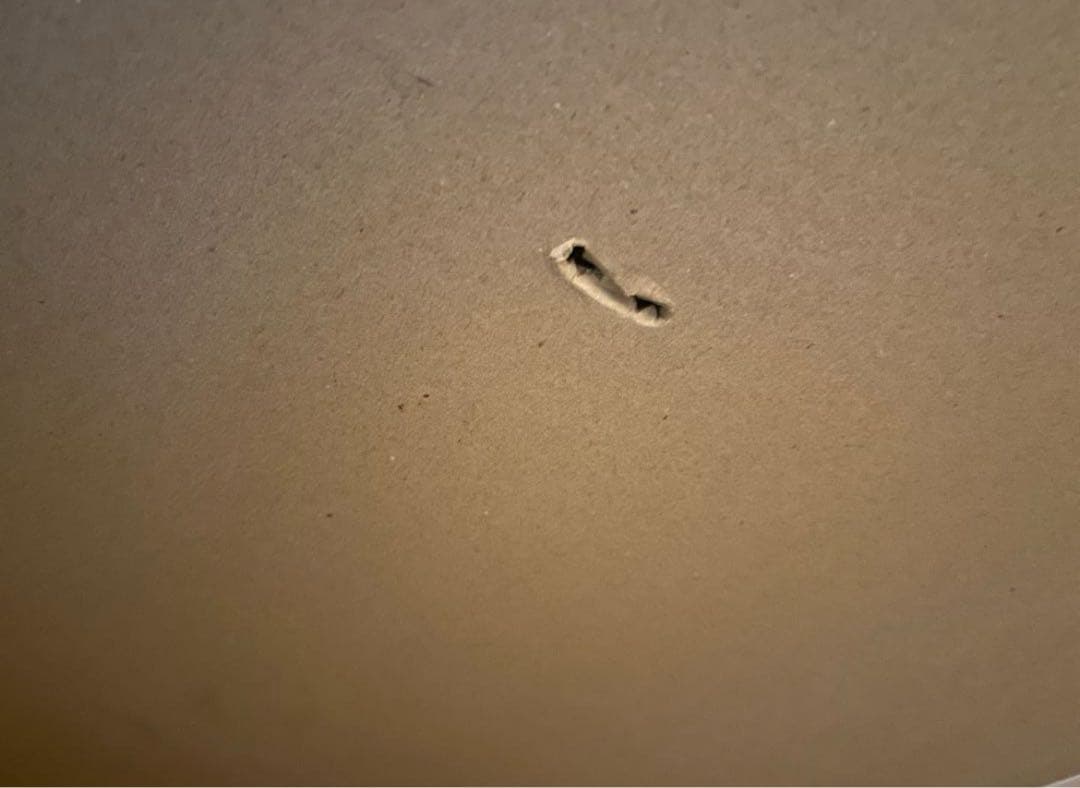 だんぼっちグランデ