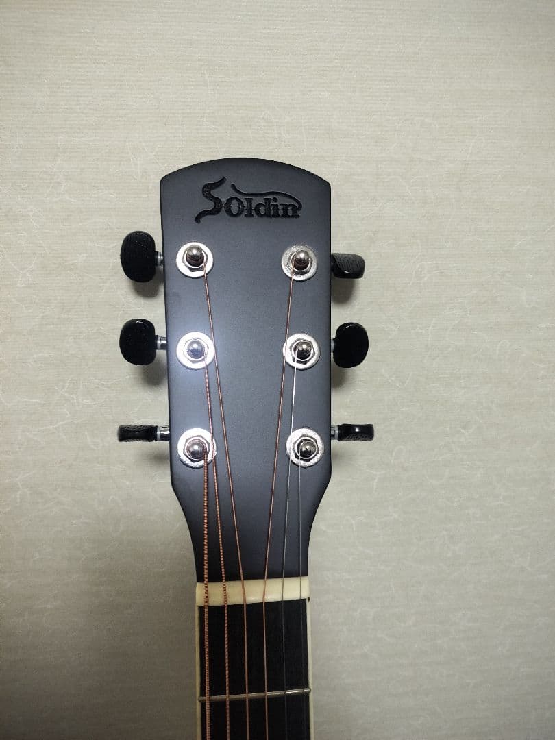 Soldin SFG-15 NAS アコースティックギター