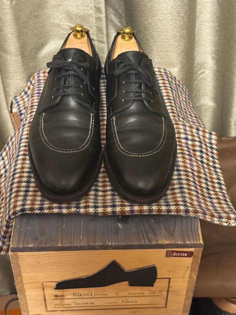 ステファノベーメル　40 1/2