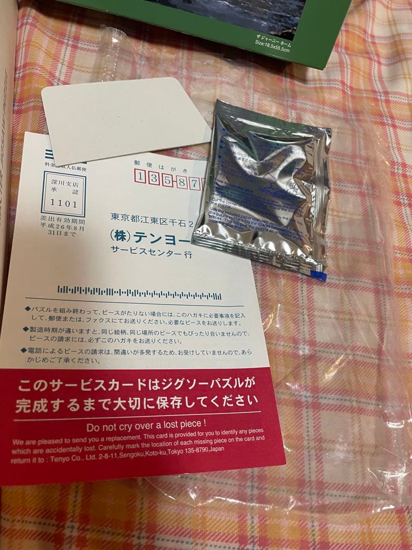 ディズニー　ザ ジャーニーホーム　ロデルゴンザレス　456p パノラマ パズル