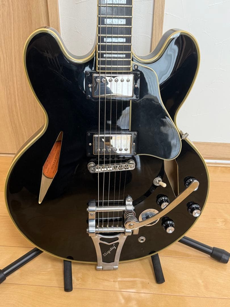 Epiphone Shinichi Ubukata ES-355 生形真一