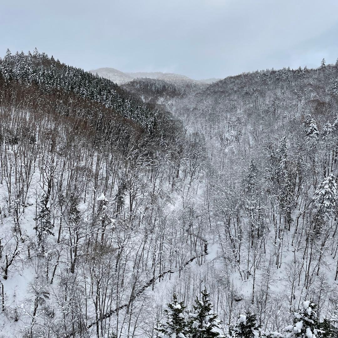 鹿ジャーキー犬用２キロ＆アキレス腱800g