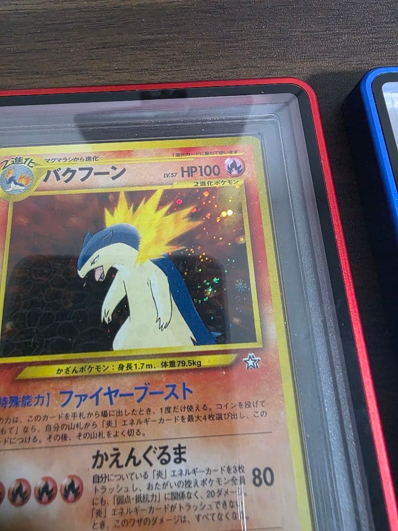 【ARS10】バクフーン・オーダイル・メガニウム 3種 セット 旧裏 渦巻きあり