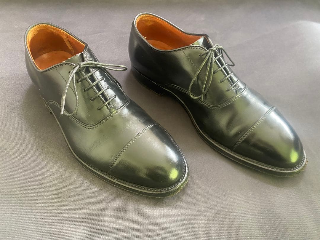 Alden ストレートチップ　キャップトゥ907 8D 26cm