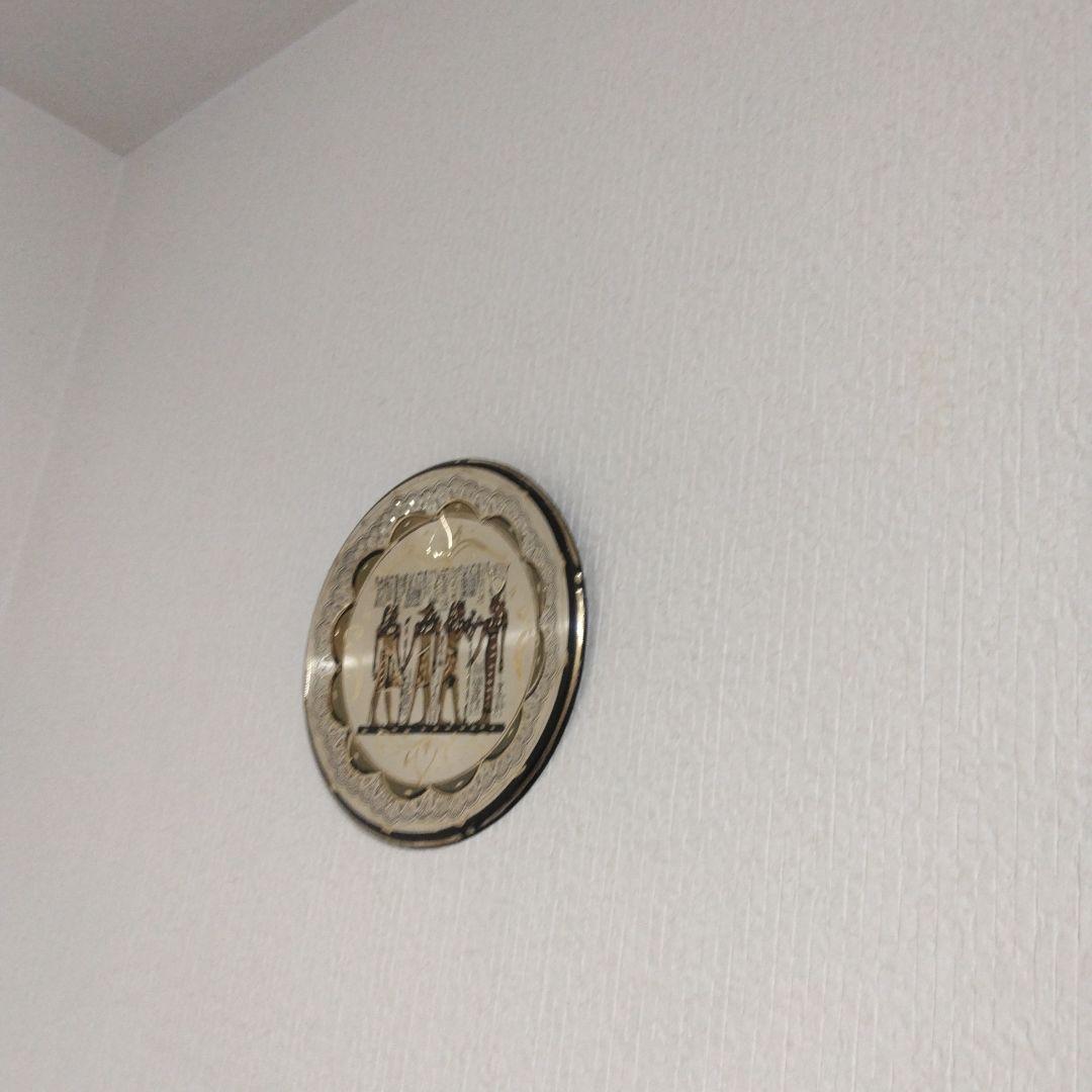 お皿(壁掛け用)