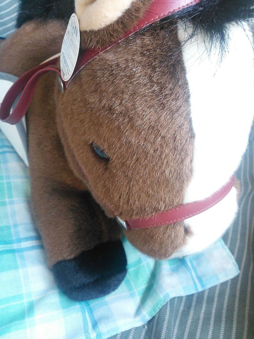 【完全レア】競馬 中山馬主協会 オルフェーヴル 池添騎手 サイン入り