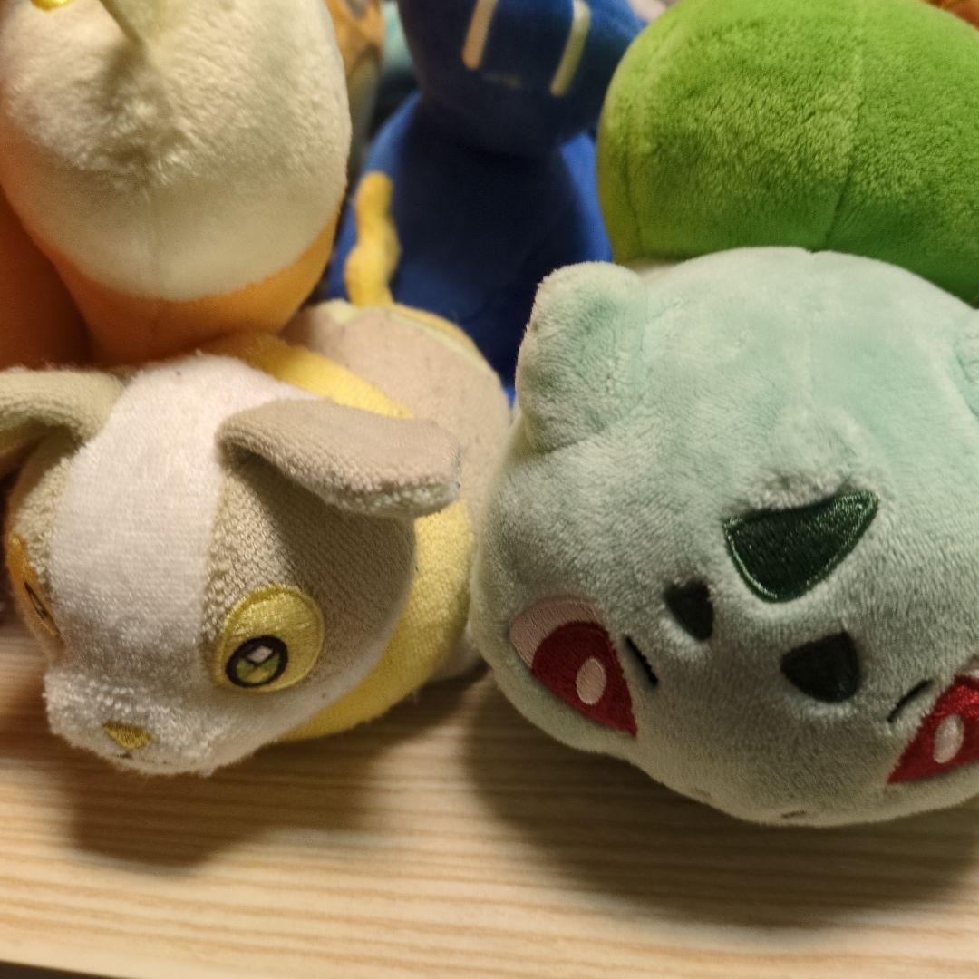 ポケモン ぬいぐるみ19体まとめ売り＋関連品
