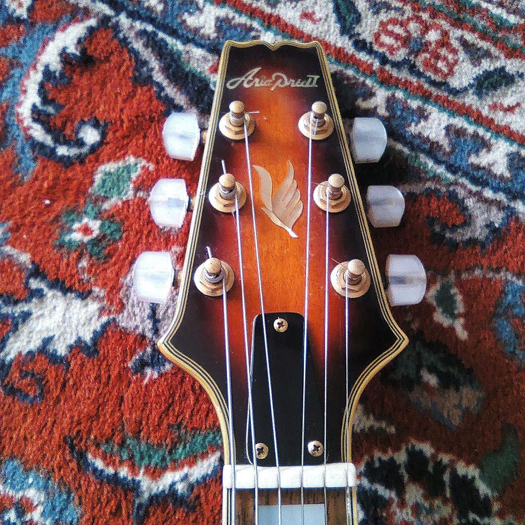 Aria Pro II PE-DLX セイモア ダンカン デザイン ピックアップ