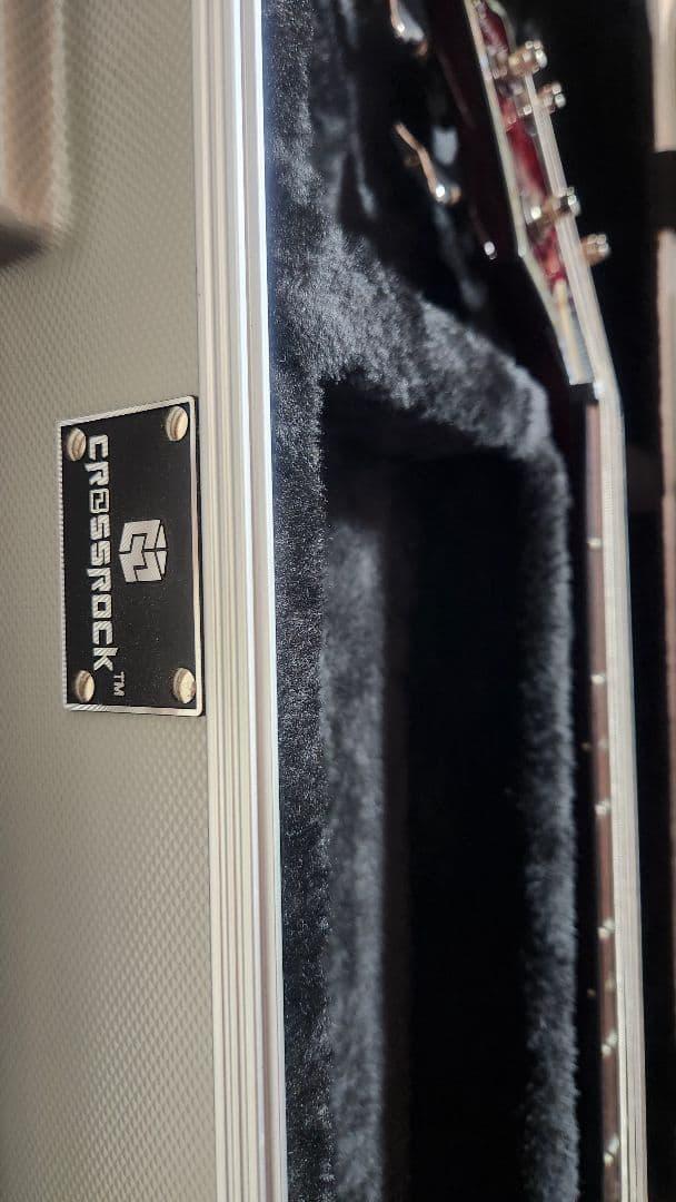 SCHECTER AD-C-4-HR Hellraser Bass★ハードケース