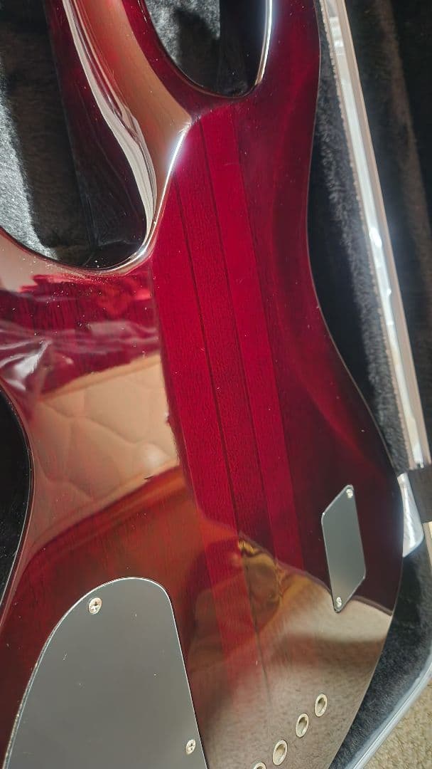 SCHECTER AD-C-4-HR Hellraser Bass★ハードケース