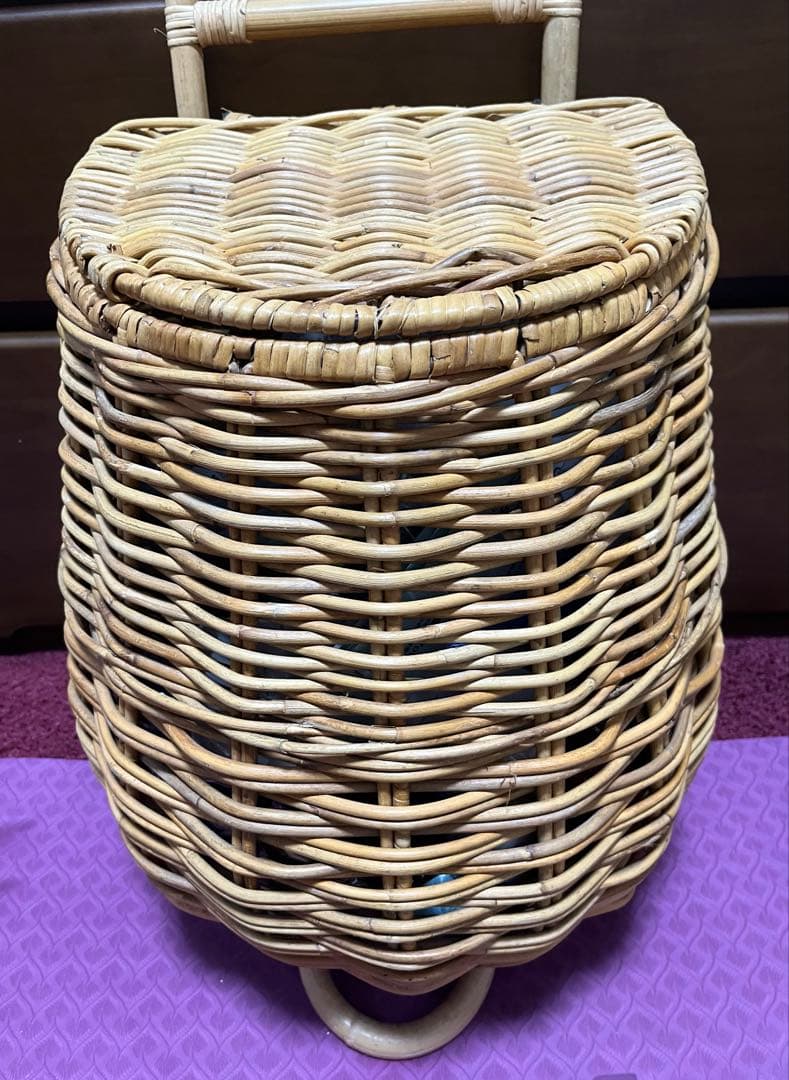 アラログ キャリーカート　ラタン　ショッピング