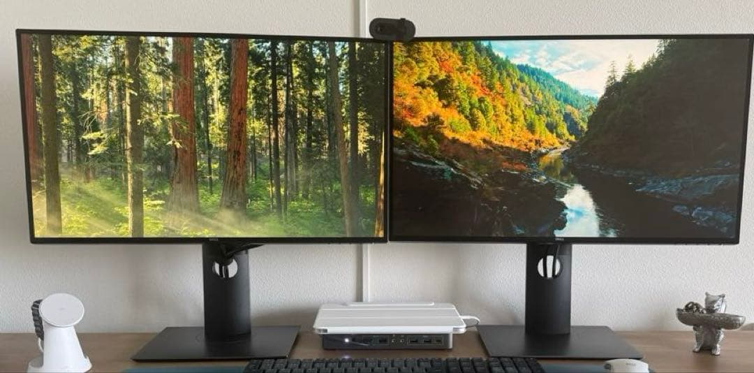 Dell U2520DR 25インチ モニター 2台セット