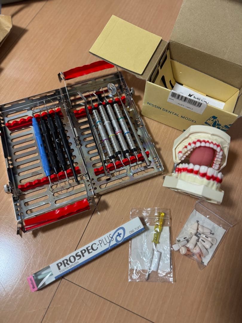 ほぼ新品のヒューフレディ　スケーラー、額模型セット