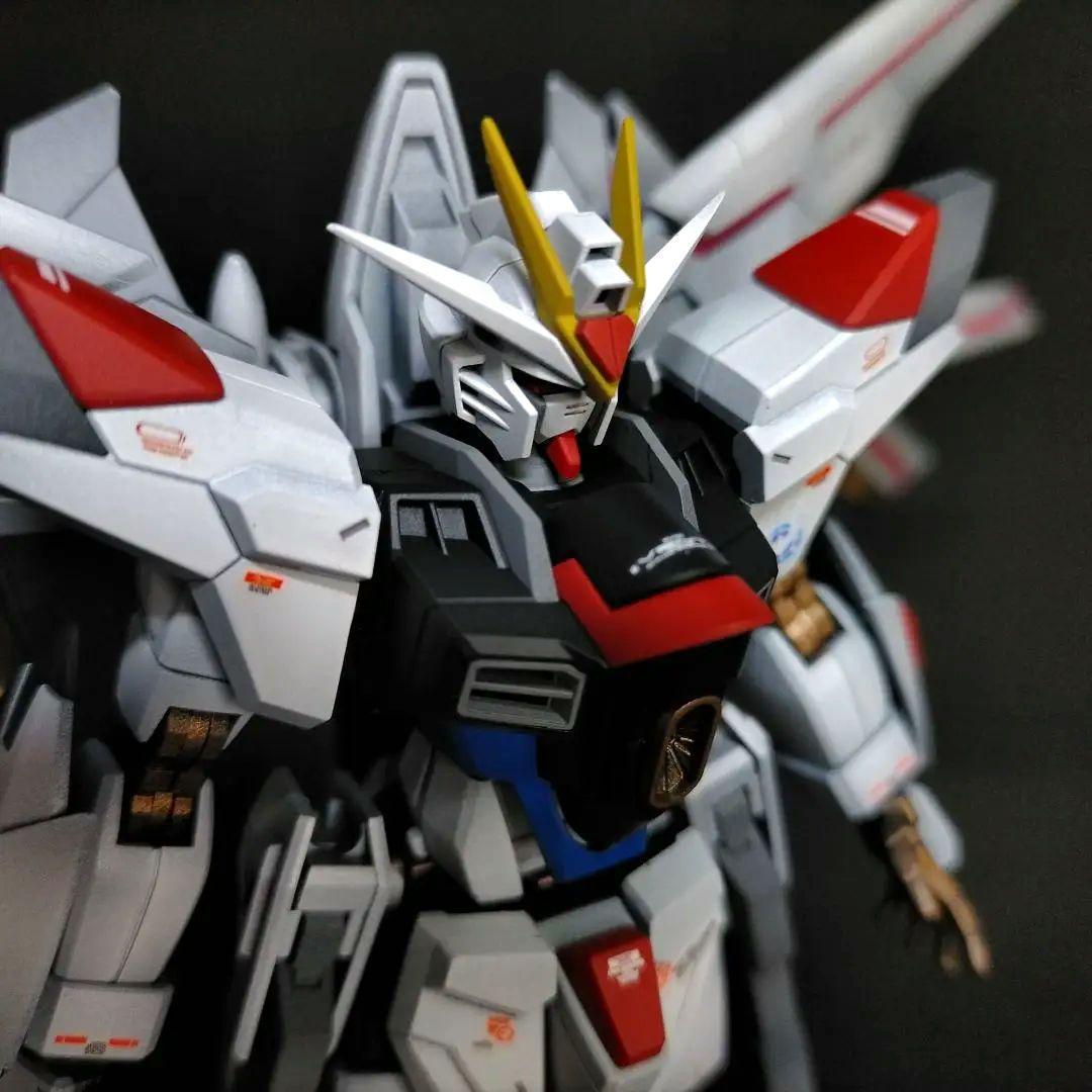 HGCE マイティーストライクフリーダムガンダム 全塗装完成品(胴体延長改修)