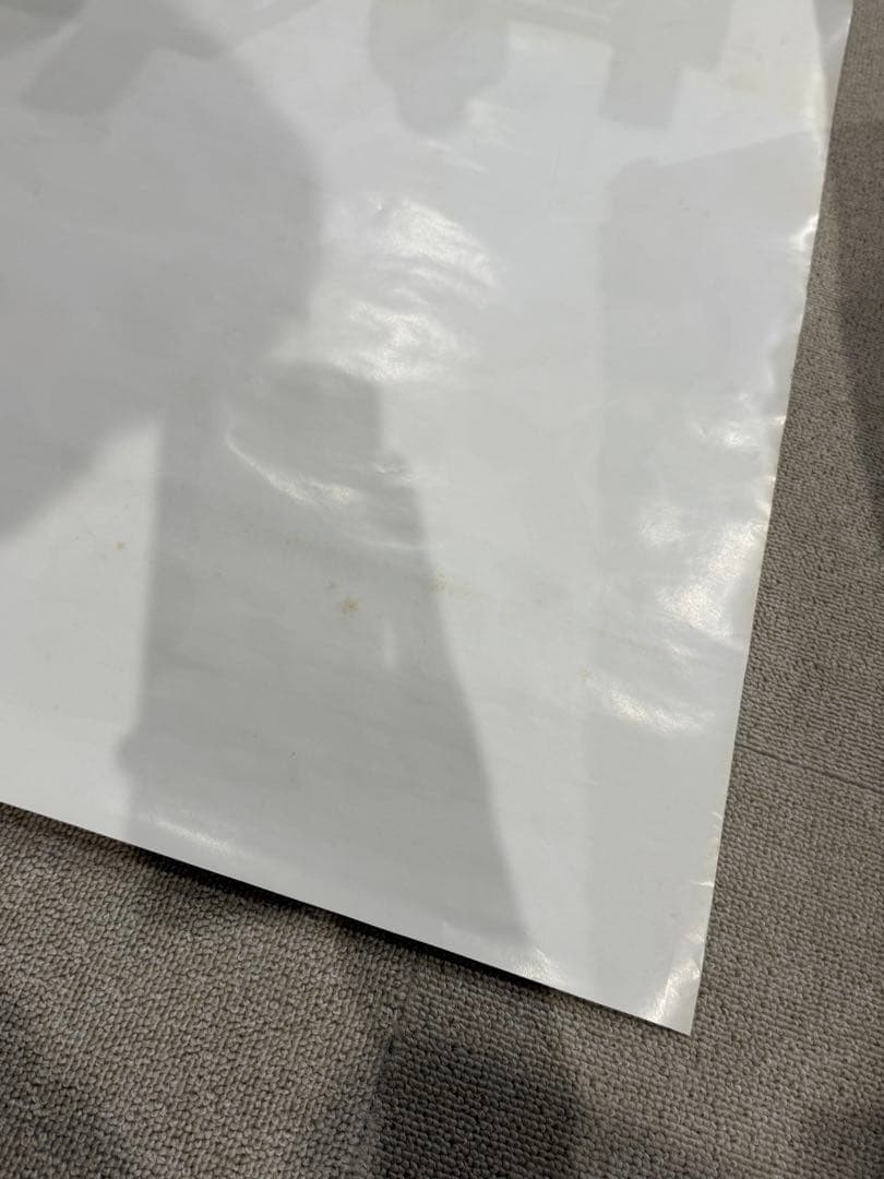 【10】激レア　家なき子 ポスター