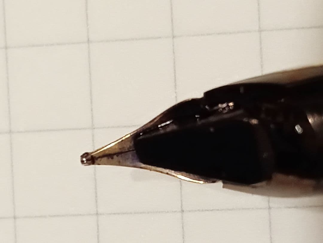 ウォーターマン　cp2 ワニ柄