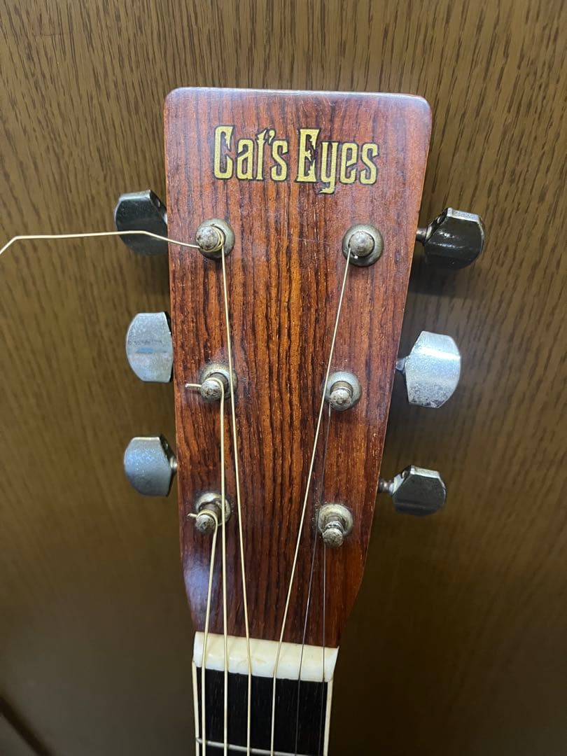 Tokai Cat's Eyes CE-180アコースティックギター