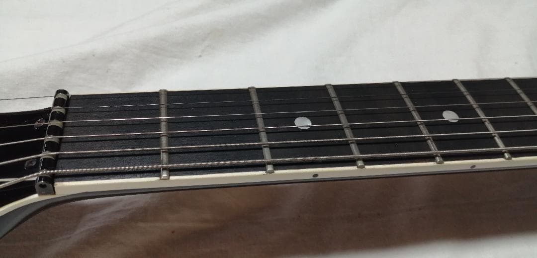 フェルナンデス　18Vサスティナー改　超美品 TEJ 布袋