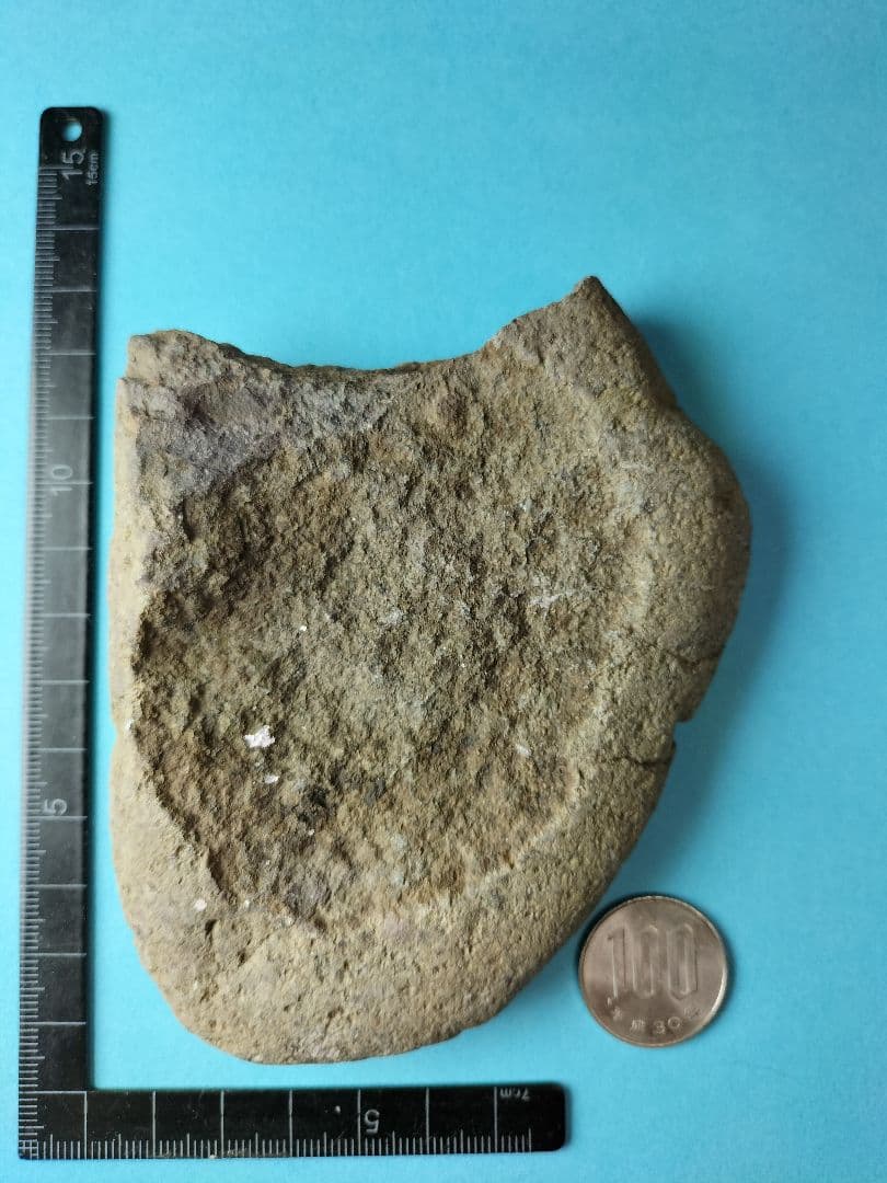 抉り入り磨製石斧? (出土品) 縄文時代前期 ? 約12㌢×9㌢×2㌢です。