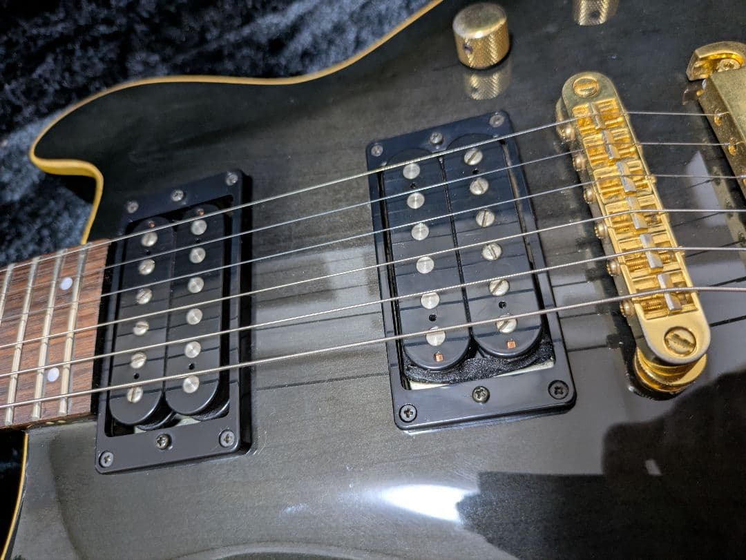 FERNANDES APG 100 24F仕様